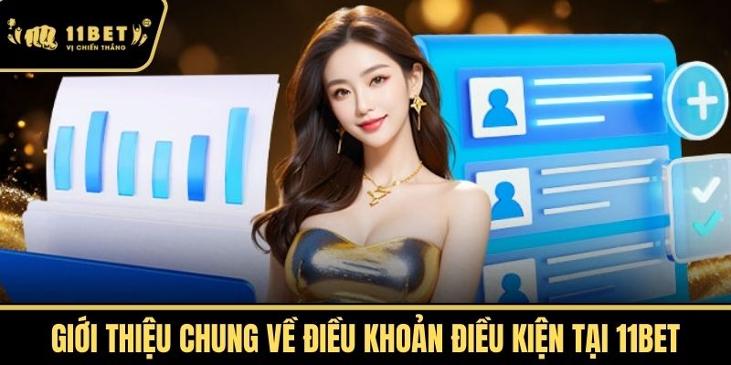 Giới Thiệu Chung về Điều Khoản Điều Kiện tại 11bet